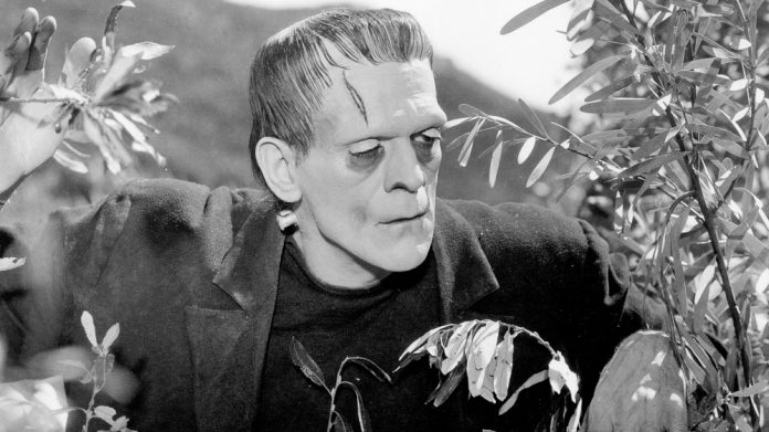 Frankenstein movie